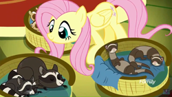 Size: 1920x1080 | Tagged: safe, screencap, character:fluttershy, species:pegasus, species:pony, episode:yakity-sax, g4, my little pony: friendship is magic, basket, blanket, chipmunk, chipmunks, cute, female, ferret, fluttershy's cottage, mare, raccoon, regular show, rigby, shyabetes, sleeping