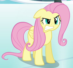 Size: 428x401 | Tagged: safe, screencap, character:fluttershy, species:pegasus, species:pony, episode:keep calm and flutter on, g4, my little pony: friendship is magic, angry, cropped, cute, female, gritted teeth, madorable, mare, snow, solo