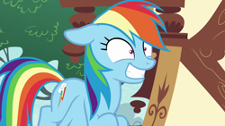 Size: 1280x720 | Tagged: safe, screencap, character:rainbow dash, species:pegasus, species:pony, episode:the washouts, g4, my little pony: friendship is magic, female, flying, insanity face, mare, rainbow dash is best facemaker, rainbowsnap, shrunken pupils, solo