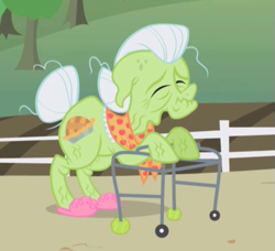 Size: 569x520 | Tagged: safe, screencap, character:granny smith, species:earth pony, species:pony, episode:the ticket master, g4, my little pony: friendship is magic, arthritic, clothing, cropped, droopy ears, elderly, eyes closed, female, mare, shawl, slippers, solo, tennis ball, walker, wrinkles