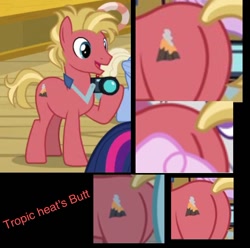 Size: 640x635 | Tagged: safe, screencap, species:earth pony, species:pony, episode:once upon a zeppelin, g4, my little pony: friendship is magic, background pony, butt, camera, collage, cropped, cutie mark, male, plot, stallion, tropic heat
