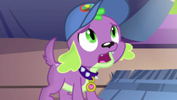 Size: 1280x720 | Tagged: safe, screencap, character:spike, character:spike (dog), species:dog, equestria girls:legend of everfree, g4, my little pony:equestria girls, cap, clothing, hat, male