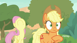 Size: 1920x1080 | Tagged: safe, screencap, character:applejack, character:fluttershy, species:earth pony, species:pegasus, species:pony, episode:sounds of silence, g4, my little pony: friendship is magic, :c, duo, female, frown, mare, messy mane, messy tail, nose in the air, tree, unamused