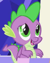 Size: 576x720 | Tagged: safe, screencap, character:spike, species:dragon, episode:father knows beast, g4, my little pony: friendship is magic, baby, baby dragon, big eyes, chair, claws, cropped, cute, fangs, folded wings, green eyes, looking up, male, open mouth, puppy dog eyes, smiling, solo, spikabetes, throne room, twilight's castle, winged spike, wings