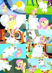 Size: 400x560 | Tagged: safe, screencap, character:bulk biceps, character:fluttershy, species:pony, ship:flutterbulk, episode:equestria games, episode:rainbow falls, g4, my little pony: friendship is magic, collage, female, male, shipping, shipping fuel, snow, straight