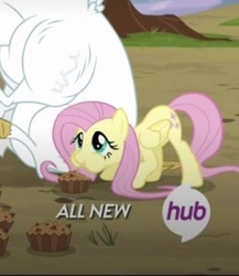 Size: 636x734 | Tagged: safe, screencap, character:bulk biceps, character:fluttershy, species:pegasus, species:pony, episode:rainbow falls, g4, my little pony: friendship is magic, apple brown betty (food), cropped, cute, cutie mark, female, food, hub logo, mare, shyabetes, the hub