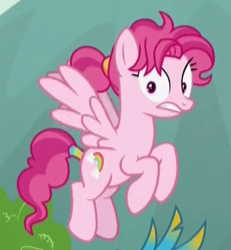 Size: 337x365 | Tagged: safe, screencap, character:bifröst, character:gallus, species:pegasus, species:pony, episode:school raze, g4, my little pony: friendship is magic, background pony, cropped, female, flying, friendship student, mare, offscreen character, ponytail, solo focus, tail wrap, wide eyes