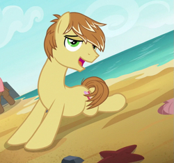 Size: 663x622 | Tagged: safe, screencap, character:feather bangs, species:earth pony, species:pony, episode:hard to say anything, g4, my little pony: friendship is magic, beach, cropped, cutie mark, male, ocean, smiling, stupid sexy feather bangs
