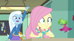 Size: 1280x720 | Tagged: safe, screencap, character:fluttershy, character:trixie, episode:a little birdie told me, g4, my little pony:equestria girls, female, geode of fauna, magical geodes