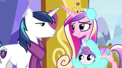Size: 855x481 | Tagged: safe, screencap, character:princess cadance, character:princess flurry heart, character:shining armor, species:alicorn, species:pony, species:unicorn, episode:best gift ever, g4, my little pony: friendship is magic, baby, baby pony, clothing, cute, earmuffs, family, female, filly, flurrybetes, foal, male, mare, scarf, stallion, star flurry heart, trio