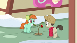 Size: 1280x720 | Tagged: safe, screencap, species:pony, episode:best gift ever, g4, my little pony: friendship is magic, a charlie brown christmas, charlie brown, colt, earmuffs, female, filly, foal, ginger green, gnarly burl, hearth's warming tree, heather wold, male, ornament, the little red haired girl, tree