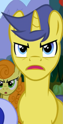Size: 367x720 | Tagged: safe, screencap, character:carrot top, character:comet tail, character:golden harvest, character:minuette, species:pony, species:unicorn, episode:the super speedy cider squeezy 6000, g4, my little pony: friendship is magic, angry, background pony, cropped, female, male, mare