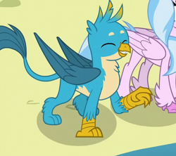 Size: 425x377 | Tagged: safe, screencap, character:gallus, character:silverstream, episode:school daze, g4, my little pony: friendship is magic, chest fluff, claws, cropped, cute, eyes closed, gallabetes, paws, smiling, tail, wings