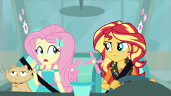 Size: 1920x1080 | Tagged: safe, screencap, character:fluttershy, character:sunset shimmer, episode:driving miss shimmer, g4, my little pony:equestria girls, angry, car, cat, driving miss shimmer: fluttershy, duo, duo female, female, fluttershy's car, geode of empathy, geode of fauna, magical geodes, miss kitty, seatbelt, steering wheel