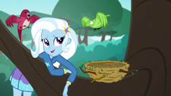 Size: 1920x1080 | Tagged: safe, screencap, character:trixie, species:bird, episode:a little birdie told me, g4, my little pony:equestria girls, bird nest, cute, diatrixes, female, nest, solo, tree, tree branch