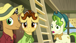 Size: 1280x720 | Tagged: safe, screencap, character:butternut, character:oak nut, character:pistachio, character:rarity, species:earth pony, species:pony, episode:best gift ever, g4, my little pony: friendship is magic, clothing, female, hat, ladder, male, shocked, smiling