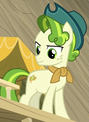 Size: 565x775 | Tagged: safe, screencap, character:pistachio, species:earth pony, species:pony, episode:best gift ever, g4, my little pony: friendship is magic, >:), clothing, cropped, freckles, hat, smiling, smirk, solo