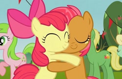 Size: 1621x1049 | Tagged: safe, screencap, character:apple bloom, character:apple honey, character:babs seed, character:red gala, character:wensley, species:earth pony, species:pony, episode:apple family reunion, g4, my little pony: friendship is magic, apple family member, hug