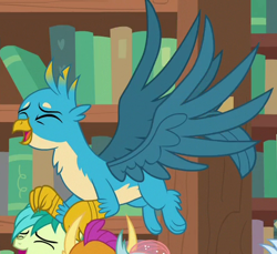 Size: 445x407 | Tagged: safe, screencap, character:gallus, character:ocellus, character:sandbar, character:silverstream, character:smolder, species:changedling, species:earth pony, species:griffon, species:pony, episode:what lies beneath, g4, my little pony: friendship is magic, bookshelf, chest fluff, claws, cropped, cute, eyes closed, gallabetes, gallawws, laughing, male, paws, spread wings, wings