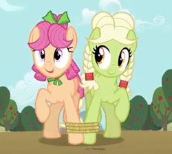 Size: 312x280 | Tagged: safe, screencap, character:apple rose, character:granny smith, species:earth pony, species:pony, episode:apple family reunion, g4, my little pony: friendship is magic, bow, braid, cousins, cropped, duo, female, hair bow, mare, seven-legged race, young granny smith