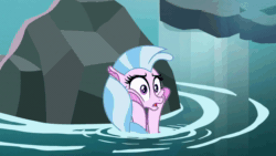 Size: 1280x720 | Tagged: safe, screencap, character:silverstream, episode:what lies beneath, g4, my little pony: friendship is magic, animated, female, scared, solo, sound, splashing, that hippogriff sure does love indoor plumbing, webm, worried