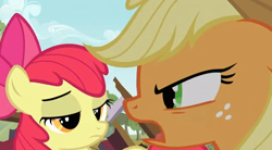 Size: 616x340 | Tagged: safe, screencap, character:apple bloom, character:applejack, episode:apple family reunion, g4, my little pony: friendship is magic