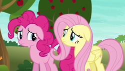 Size: 1280x720 | Tagged: safe, screencap, character:fluttershy, character:pinkie pie, species:earth pony, species:pegasus, species:pony, episode:buckball season, g4, my little pony: friendship is magic, apple tree, cute, duo, female, floppy ears, mare, sad, sadorable, tree