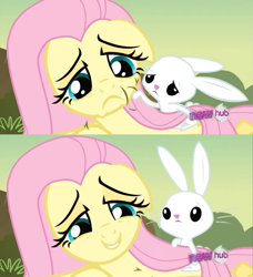 Size: 935x1026 | Tagged: safe, screencap, character:angel bunny, character:fluttershy, episode:hurricane fluttershy, g4, my little pony: friendship is magic, angelbetes, comforting, cute, hub logo, tsundere