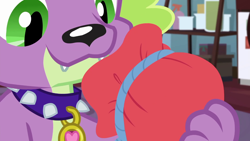 Size: 1280x720 | Tagged: safe, screencap, character:spike, character:spike (dog), species:dog, episode:reboxing with spike!, g4, my little pony:equestria girls, male, paws, spike's dog collar