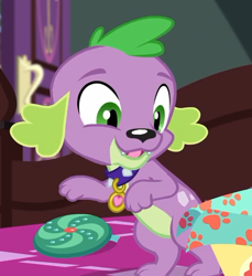 Size: 554x604 | Tagged: safe, screencap, character:spike, character:spike (dog), species:dog, episode:reboxing with spike!, g4, my little pony:equestria girls, cropped, cute, fabulous fido's faberge flying disk, male, spikabetes, spike's dog collar, tail
