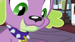 Size: 1280x720 | Tagged: safe, screencap, character:spike, character:spike (dog), species:dog, episode:reboxing with spike!, g4, my little pony:equestria girls, collar, fangs, male, smiling, spike's dog collar, teeth