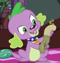 Size: 597x630 | Tagged: safe, screencap, character:spike, character:spike (dog), species:dog, episode:reboxing with spike!, g4, my little pony:equestria girls, collar, cropped, dirty sock, fabulous fido's faberge flying disk, male, paws, sci-twi's room, smelly, smiling, solo, spike's dog collar, tail