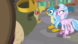 Size: 1920x1080 | Tagged: safe, screencap, character:gallus, character:silverstream, species:classical hippogriff, species:griffon, species:hippogriff, episode:a matter of principals, g4, my little pony: friendship is magic, bookshelf, crown, crown of grover, cute, diastreamies, discovery family logo, duo, female, jewelry, king grover, library, male, necklace, open beak, red eyes, red eyes take warning, regalia