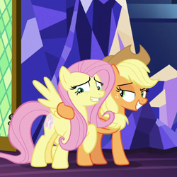 Size: 720x720 | Tagged: safe, screencap, character:applejack, character:fluttershy, species:pony, episode:sounds of silence, g4, my little pony: friendship is magic, bad touch, cropped, out of context, personal space invasion