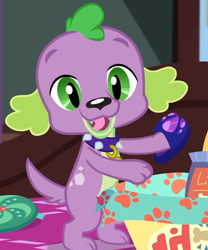 Size: 524x630 | Tagged: safe, screencap, character:spike, character:spike (dog), species:dog, episode:reboxing with spike!, g4, my little pony:equestria girls, clothing, collar, cropped, paws, slippers, smiling, spike's dog collar, tail