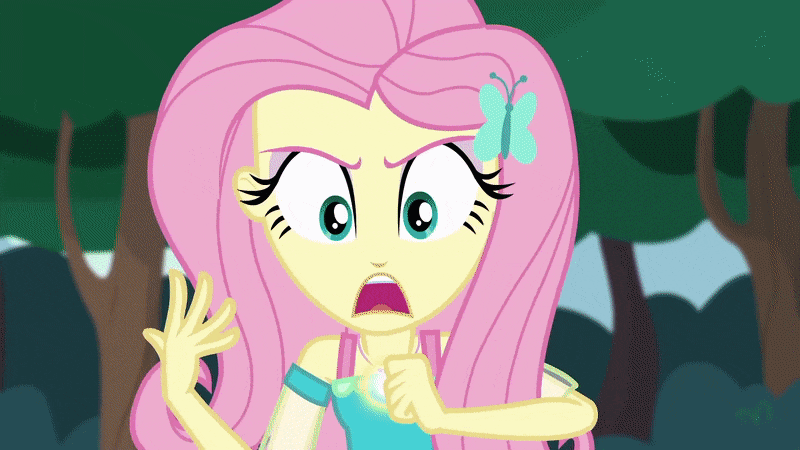Size: 800x450 | Tagged: safe, screencap, character:fluttershy, character:harry, species:bird, episode:stressed in show, g4, my little pony:equestria girls, animal, animated, badass, bear, female, geode of fauna, gif, magical geodes, raccoon, regular show, rigby, skunk, smoky, smoky jr., softpad, solo, squirrel, stressed in show: fluttershy