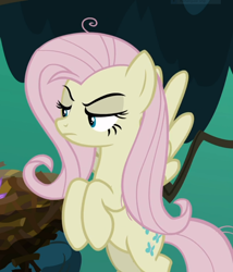 Size: 804x938 | Tagged: safe, screencap, character:fluttershy, character:mean fluttershy, species:pony, episode:the mean 6, g4, my little pony: friendship is magic, clone, cropped, female, lidded eyes, solo