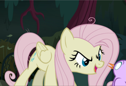 Size: 1371x940 | Tagged: safe, screencap, character:fluttershy, character:mean fluttershy, species:bird, species:pony, episode:the mean 6, g4, my little pony: friendship is magic, clone, cropped, cruel, female, flutterbitch, open mouth, sinister