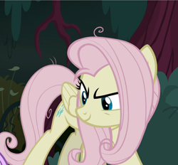 Size: 1010x938 | Tagged: safe, screencap, character:fluttershy, character:mean fluttershy, species:pony, episode:the mean 6, g4, my little pony: friendship is magic, clone, cropped, evil grin, female, grin, smiling, solo focus