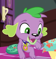 Size: 516x540 | Tagged: safe, screencap, character:spike, character:spike (dog), species:dog, episode:reboxing with spike!, g4, my little pony:equestria girls, collar, cropped, cute, male, paws, smiling, spikabetes, spike's dog collar