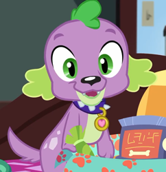 Size: 698x720 | Tagged: safe, screencap, character:spike, character:spike (dog), species:dog, episode:reboxing with spike!, g4, my little pony:equestria girls, cropped, looking at you, male, paws, written equestrian