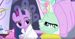 Size: 1363x716 | Tagged: safe, screencap, character:fluttershy, character:rarity, character:twilight sparkle, character:twilight sparkle (alicorn), species:alicorn, species:pony, episode:rarity's biggest fan, alternate hairstyle, duo, female, mare, mud mask, raised eyebrow, spa, straight mane