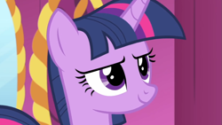 Size: 1067x600 | Tagged: safe, screencap, character:twilight sparkle, character:twilight sparkle (alicorn), species:alicorn, species:pony, episode:rarity's biggest fan, carousel boutique, close-up, mirror, solo