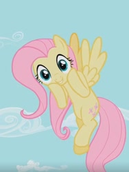 Size: 478x636 | Tagged: safe, screencap, character:fluttershy, episode:secret of my excess, g4, my little pony: friendship is magic, smiling