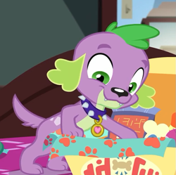Size: 633x630 | Tagged: safe, screencap, character:spike, character:spike (dog), species:dog, episode:reboxing with spike!, g4, my little pony:equestria girls, collar, cropped, male, paws, smiling, spike's dog collar, tail