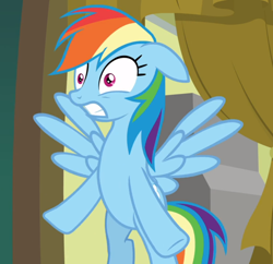 Size: 968x937 | Tagged: safe, screencap, character:rainbow dash, species:pegasus, species:pony, episode:grannies gone wild, g4, my little pony: friendship is magic, bipedal, cropped, female, floppy ears, mare, scared, shrunken pupils, solo, spread wings, wings