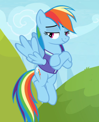 Size: 758x936 | Tagged: safe, screencap, character:rainbow dash, species:pegasus, species:pony, episode:the end in friend, g4, my little pony: friendship is magic, clothing, cropped, crossed hooves, female, flying, jersey, lidded eyes, mare, smiling, smirk, smug, spread wings, wings