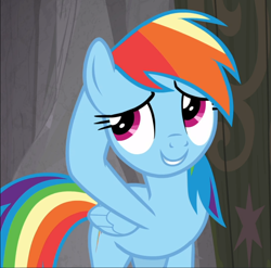 Size: 948x937 | Tagged: safe, screencap, character:rainbow dash, species:pegasus, species:pony, episode:the end in friend, g4, my little pony: friendship is magic, cropped, embarrassed, female, hooves behind head, smiling, solo