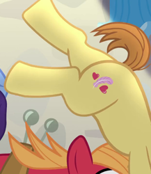 Size: 626x720 | Tagged: safe, screencap, character:big mcintosh, character:feather bangs, species:pony, episode:hard to say anything, g4, my little pony: friendship is magic, cropped, cutie mark, hooves, legs, male, pictures of legs, stallion