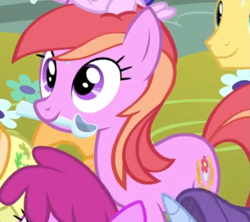 Size: 1009x897 | Tagged: safe, screencap, character:berry punch, character:berryshine, character:junebug, character:november rain, character:plumberry, species:earth pony, species:pony, episode:sundae sundae sundae, autumn fields, background pony, blooming harvest, female, friendship student, mare, mouth hold, offscreen character, smiling, solo focus, spoon, warm front